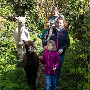 Evenementen & Excursies