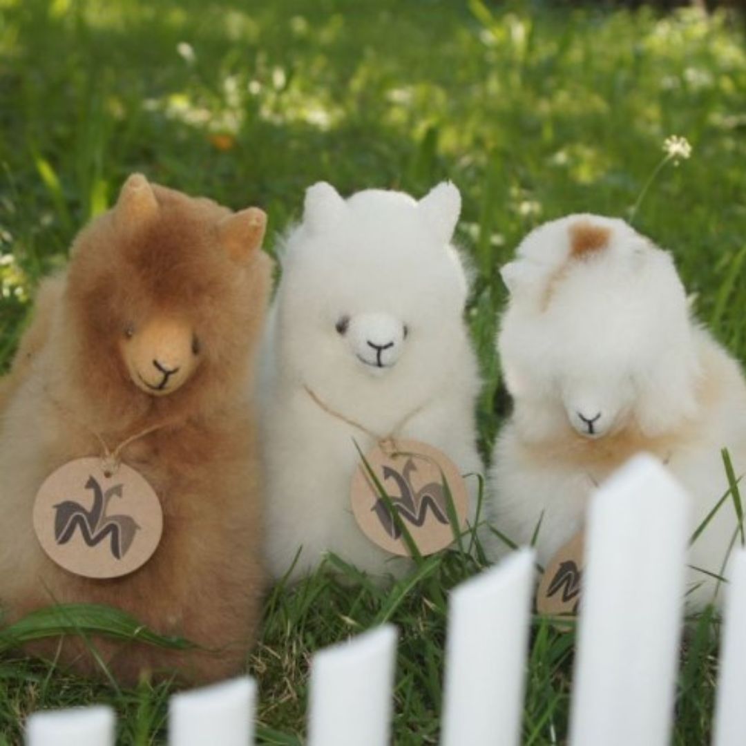 Alpacaknuffel van 100% alpacawol