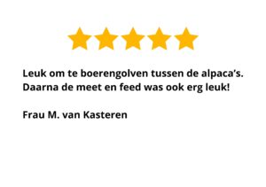 alpaca-falabellaranch.nl